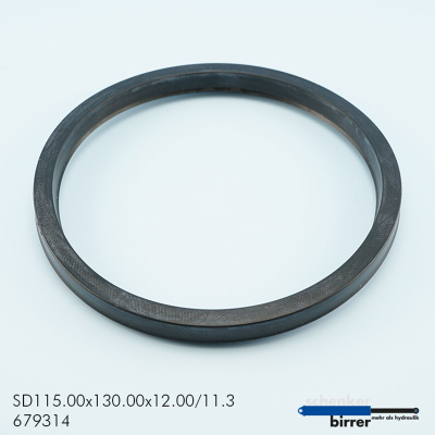 Rod seal CP