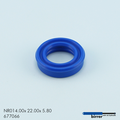 Anello di scanalatura TS/L