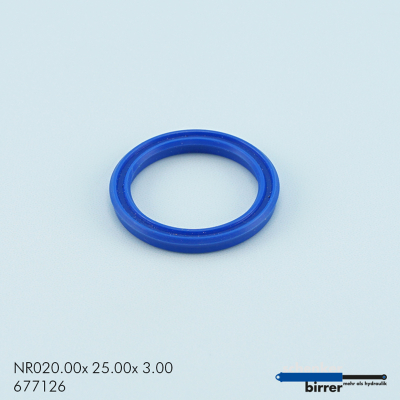 Anello di scanalatura TS