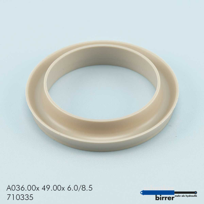 Abstreifer A-CSW  PEEK