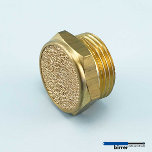 Bleed screw