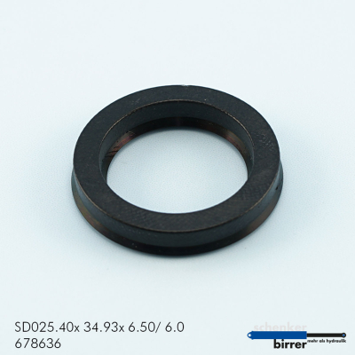 Rod seal B