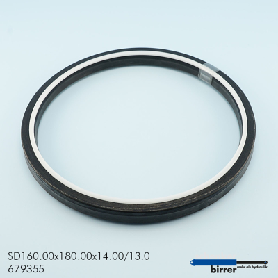 Rod seal B-BKI