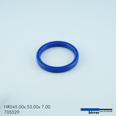 Anello di scanalatura TS/L