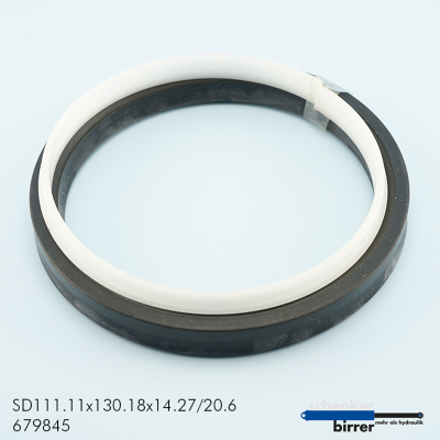 Rod seal SAS