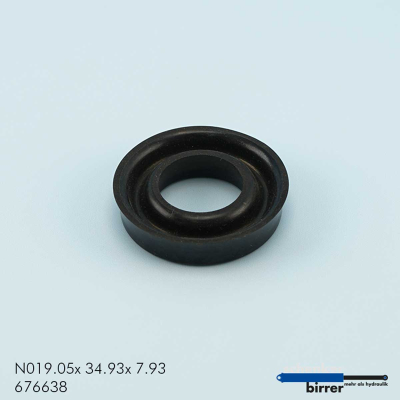 Anello di scanalatura N