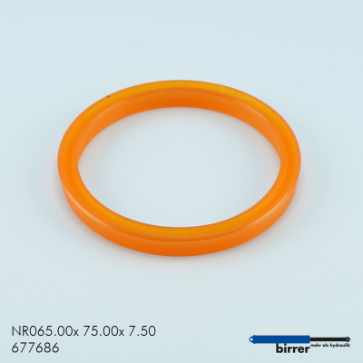 Anello di scanalatura UN