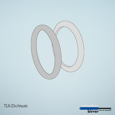 Kit di tenuta (esterno) TLX