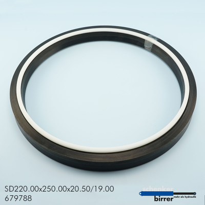 Rod seal B-BKI