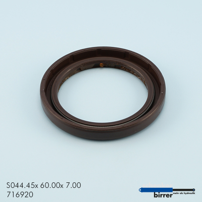 Simmerring BABSL Viton