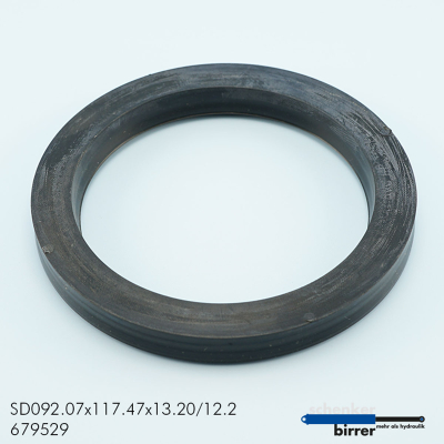 Rod seal B