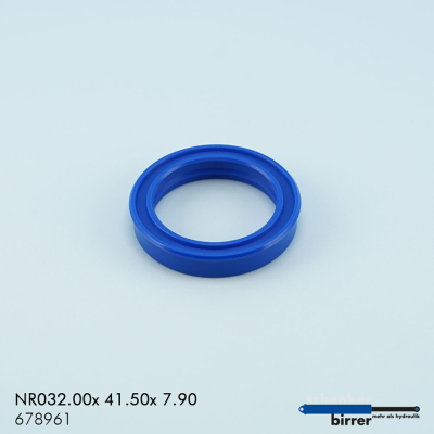 Bague rainurée TS/L