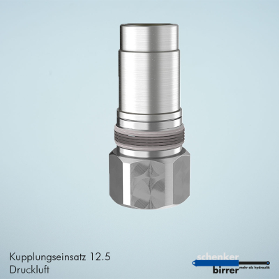 Insert d'embrayage - air comprimé 12.5