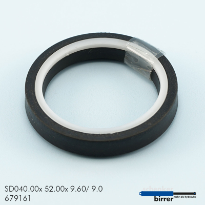 Rod seal B-BKI