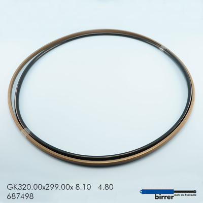 Anello di scorrimento GK -2 671534