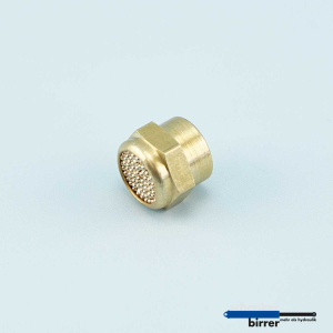 Bleed screw