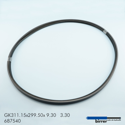 Anello di scorrimento GK -1 2x671054