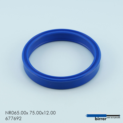 Anello di scanalatura TS/L