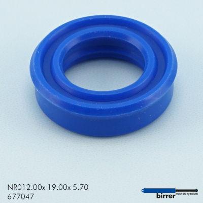 Anello di scanalatura TS/L