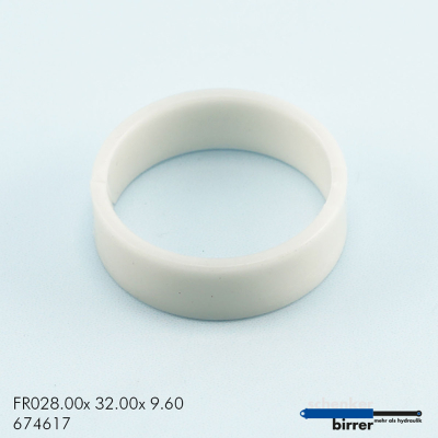 Guide ring WRI