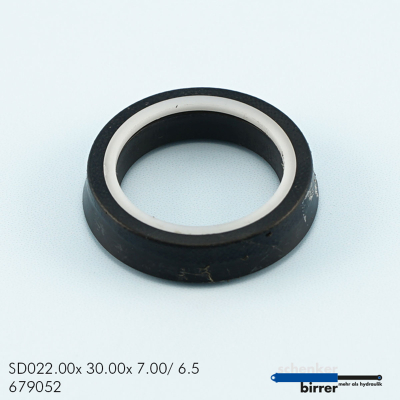 Rod seal B-BKI
