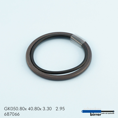 Anello di scorrimento GK -1 670387