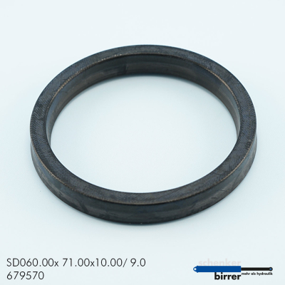 Rod seal B