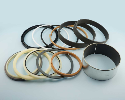 Set di guarnizioni CAT