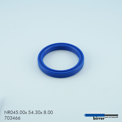 Anello di scanalatura TS/L