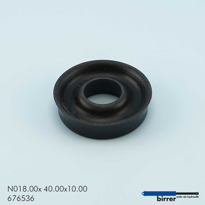 Anello di scanalatura N