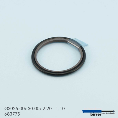 Sliding ring GS -1 670153