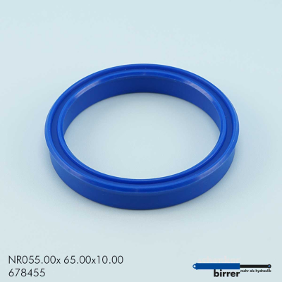 Anello di scanalatura TS