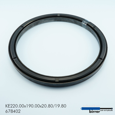 Guarnizione del pistone TGU