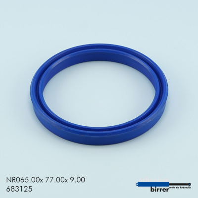 Anello di scanalatura UNI