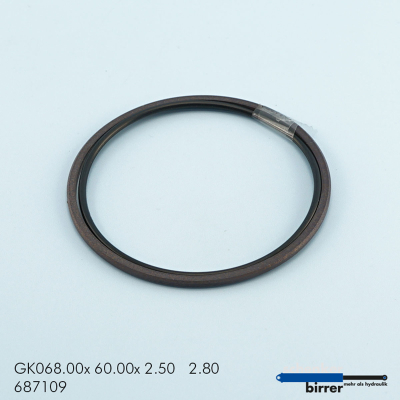 Bague de glissement GK -5 670256