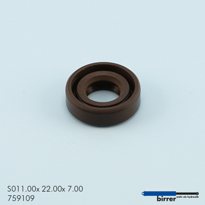 Simmerring BASL Viton