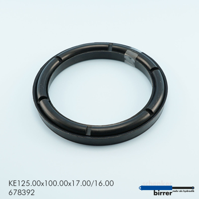 Guarnizione del pistone TGU