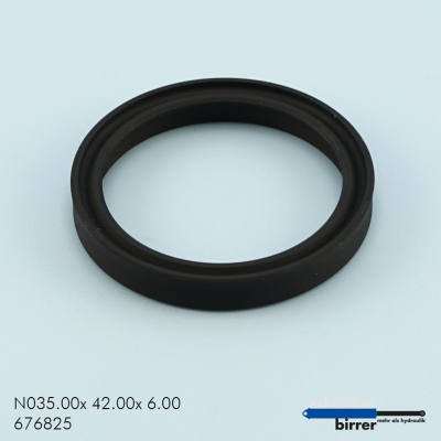 Anello di scanalatura NI