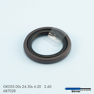 Anello di scorrimento GKS-2 670737