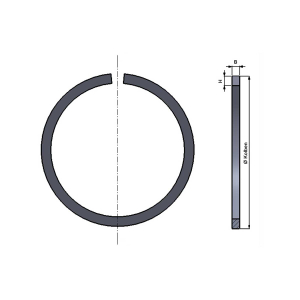 Piston ring GG25