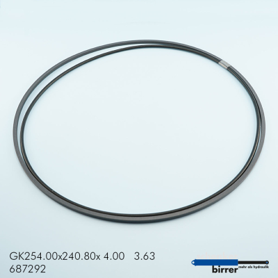 Anello di scorrimento GK -1 670948