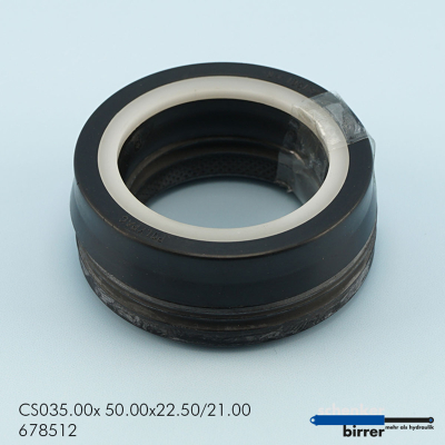 C.Rod seal. SM