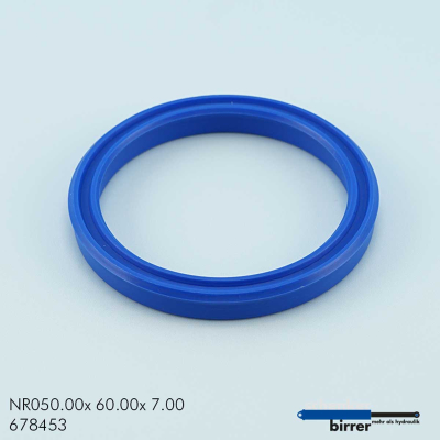 Anello di scanalatura TS