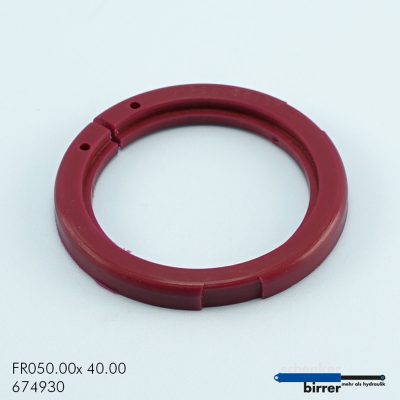 Sicherungs-Endring PSR