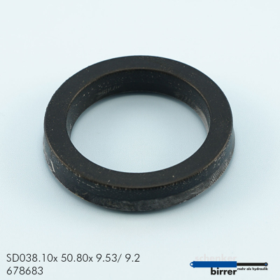 Rod seal B