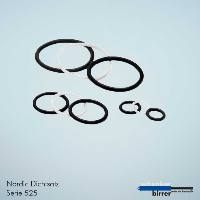 Dichtsatz für Kupplung DN 12.5